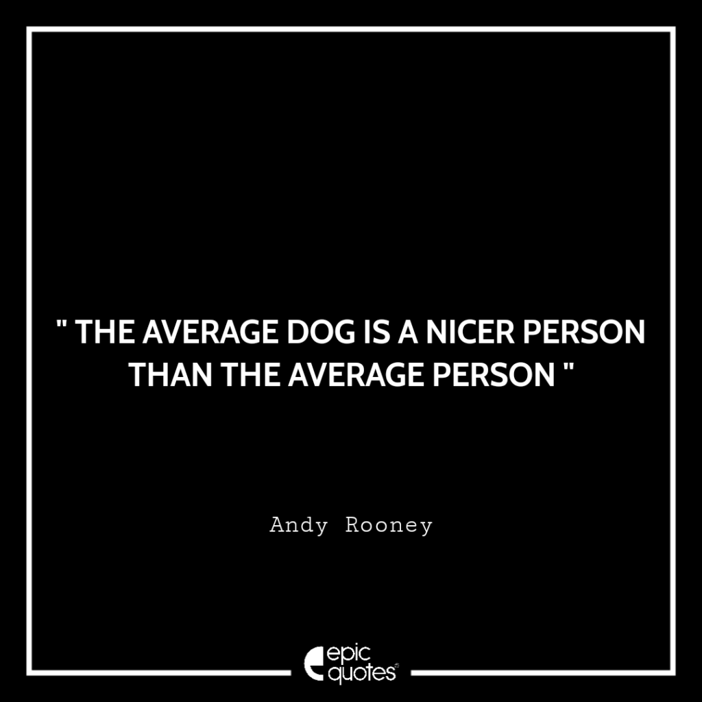 the-average-dog-is-a-nicer-person-than-the-average-person